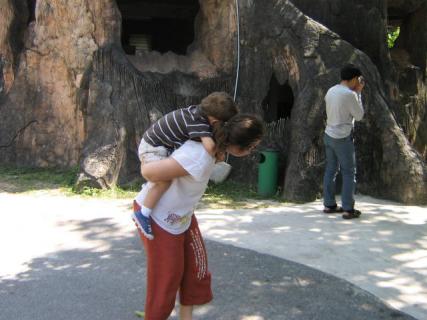 November 2008 116.jpg